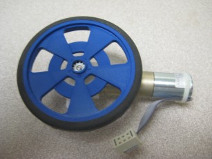 Faulhaber-wheel.jpg