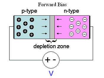 P n forward bias.gif
